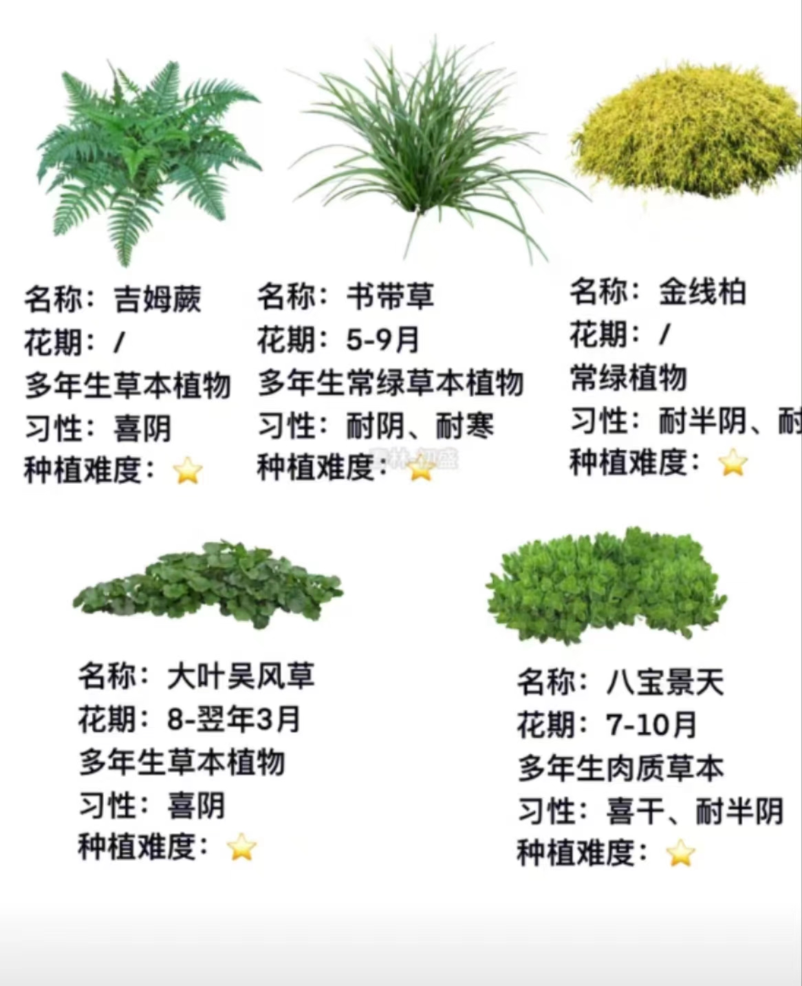 园林施工过程中应注意的几个问题