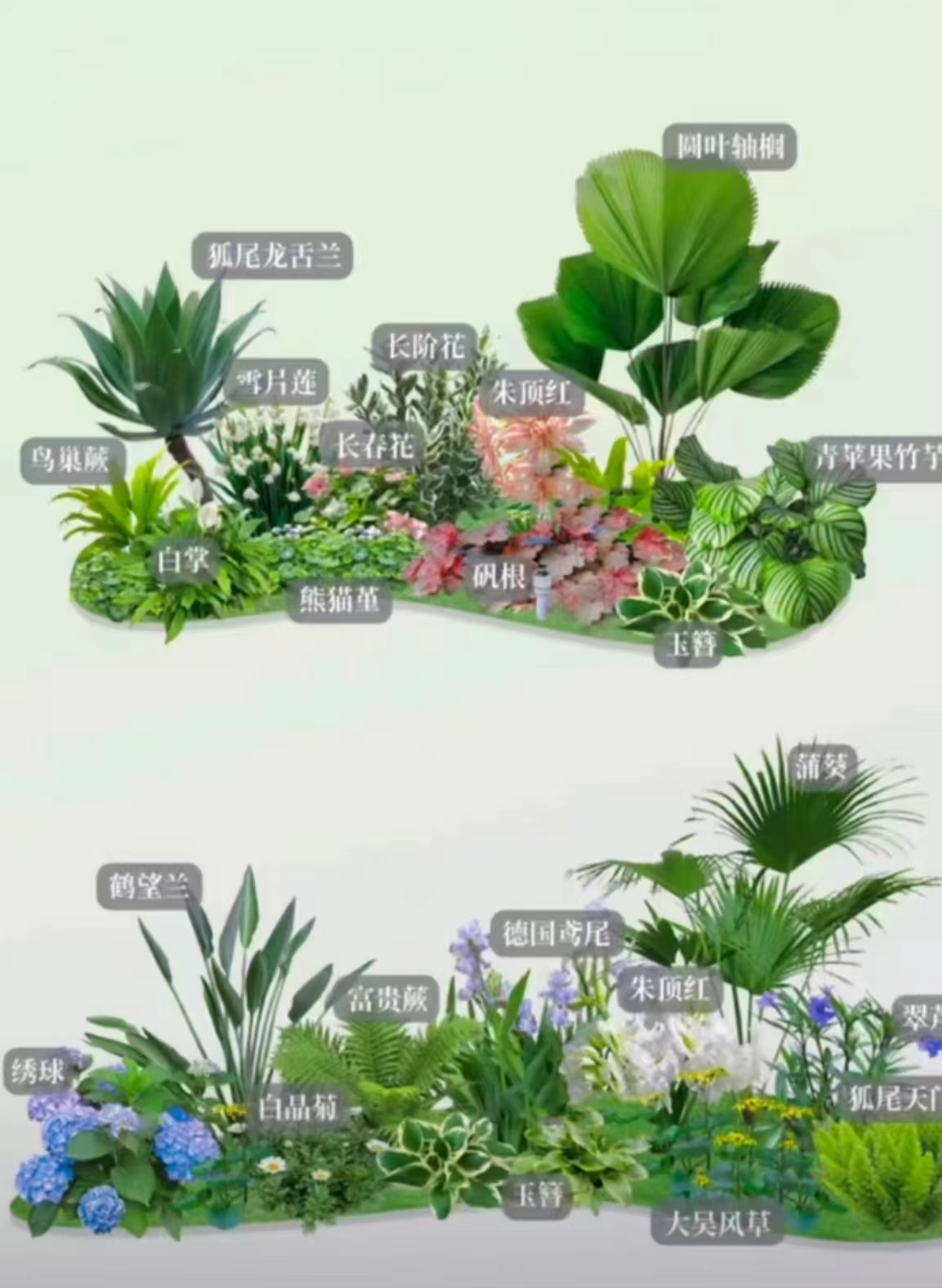 我国园林苗木市场未来将呈现的四大特点